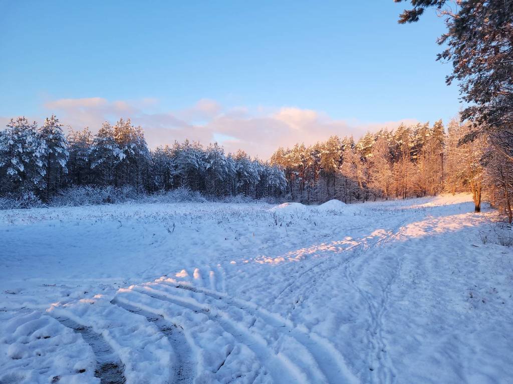 Dom na sprzedaż Stara Dąbrowa  139m2 Foto 8