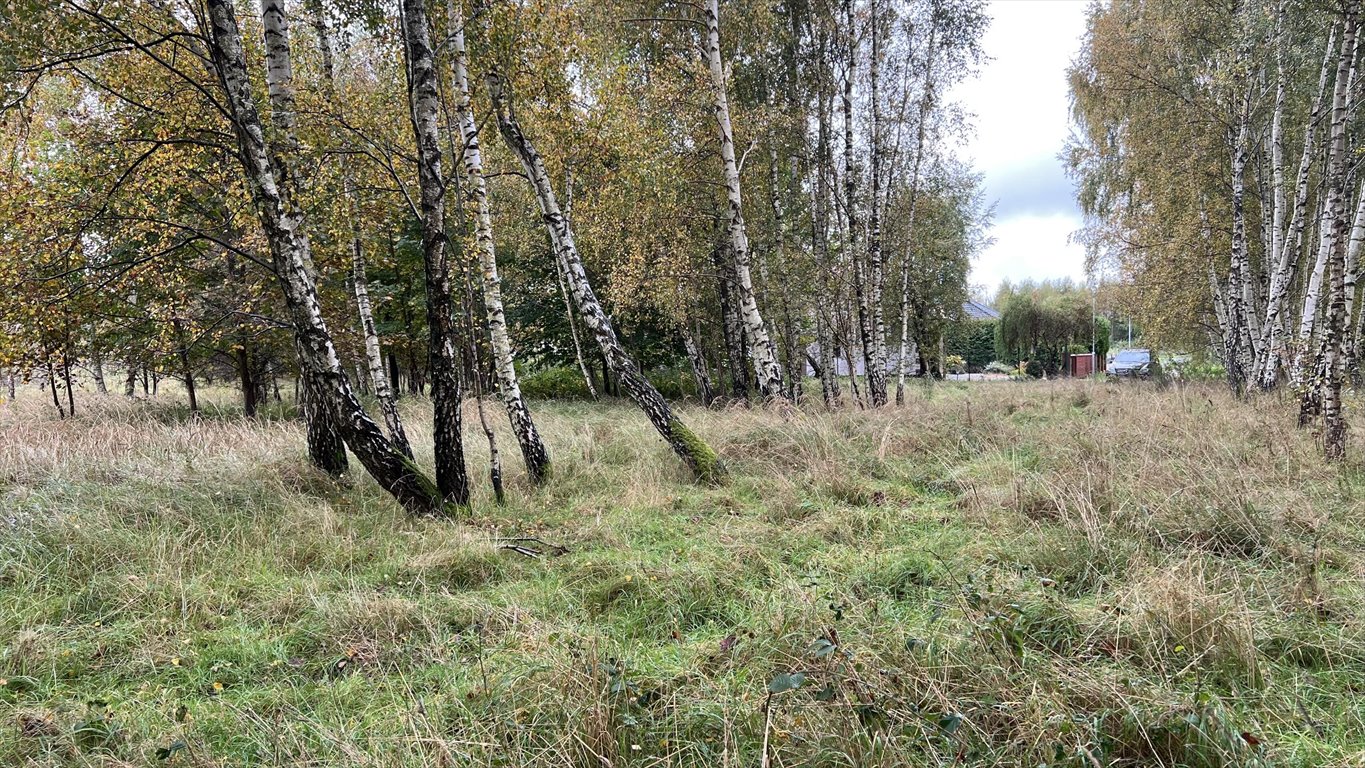 Działka budowlana na sprzedaż Dygowo, Wesoła  1 916m2 Foto 1