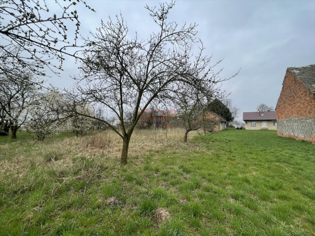 Działka inna na sprzedaż Długołęka  13 550m2 Foto 1