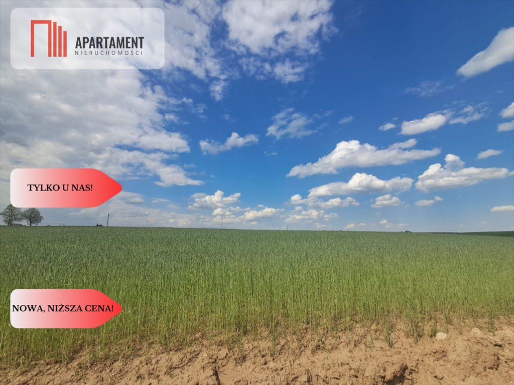 Działka budowlana 1108 m² z mediami (woda, prąd) w Pinczynie Pinczyn, Ciska  1 108m2 Foto 1