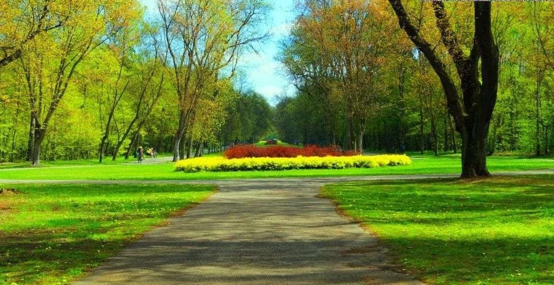 Mieszkanie dwupokojowe na sprzedaż Łódź, Śródmieście, ul. Ogrodowa  37m2 Foto 15