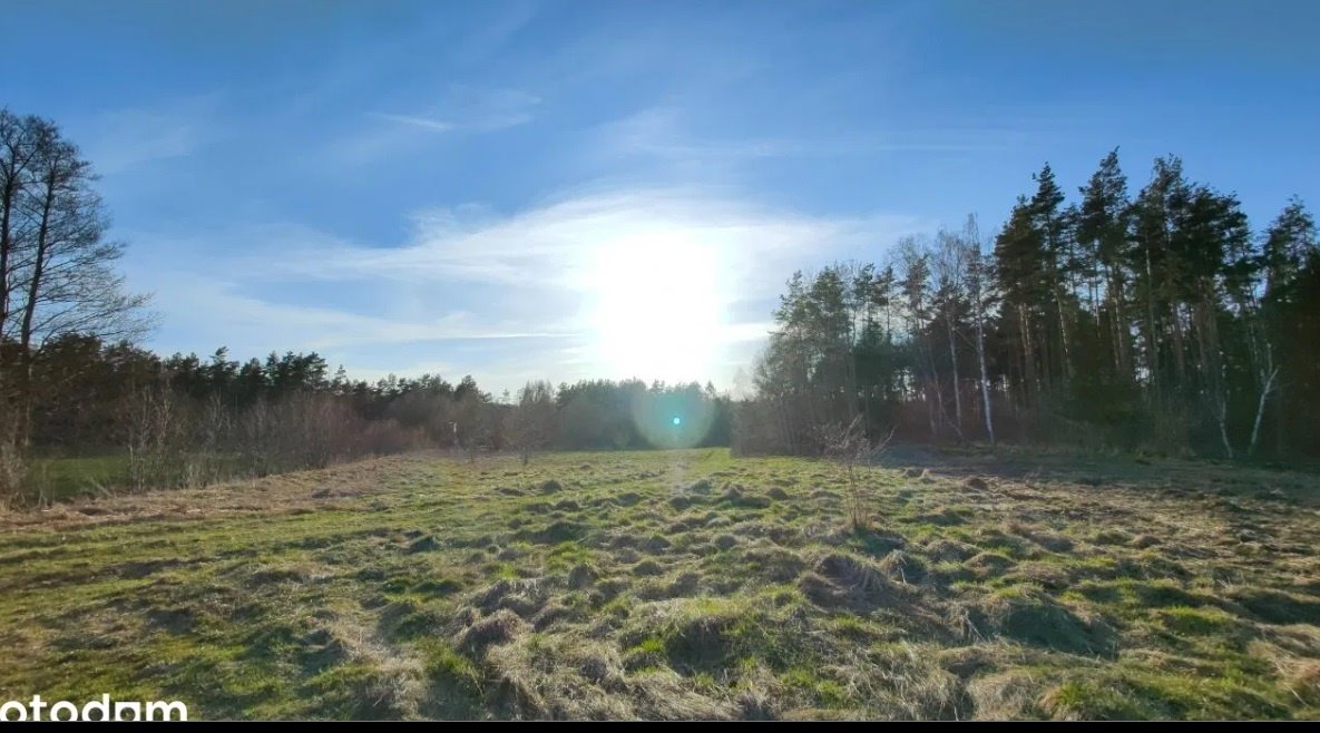 Działka budowlana na sprzedaż Gołębiewo Wielkie, Gołębiewo Wielkie  1 000m2 Foto 2