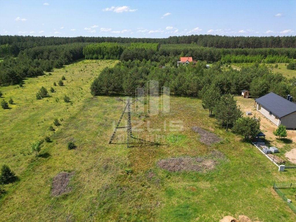 Działka budowlana na sprzedaż Cieciorka, Porzeczkowa  2 604m2 Foto 9