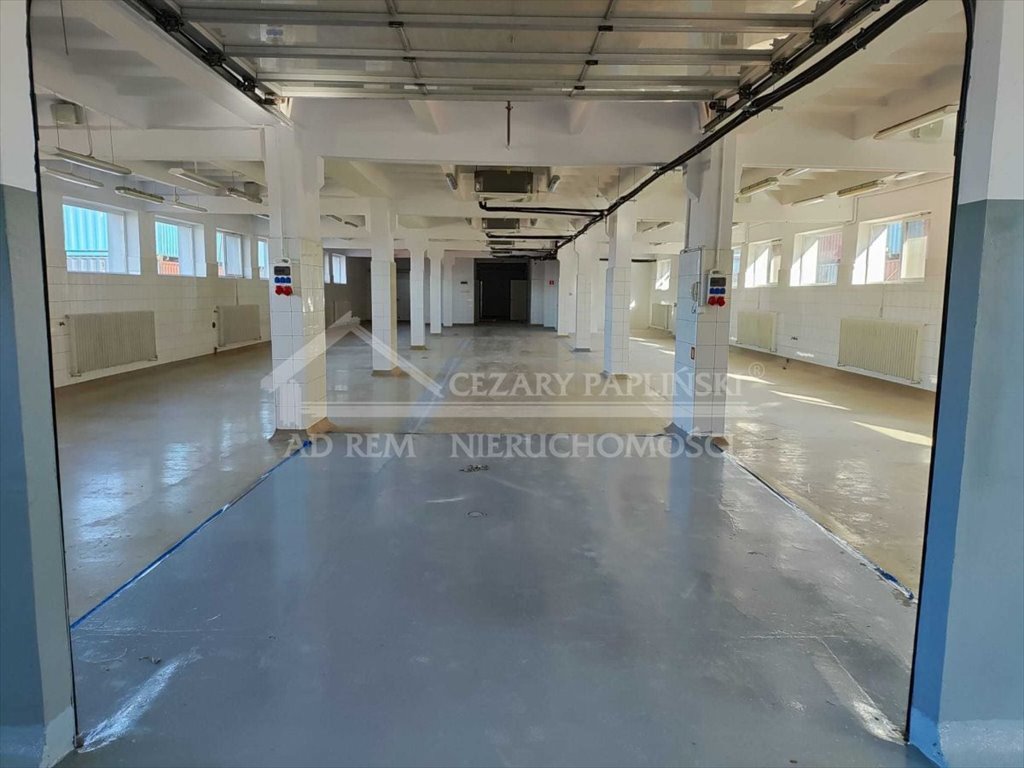 Lokal użytkowy na wynajem Kurów, Kurów  1 350m2 Foto 5