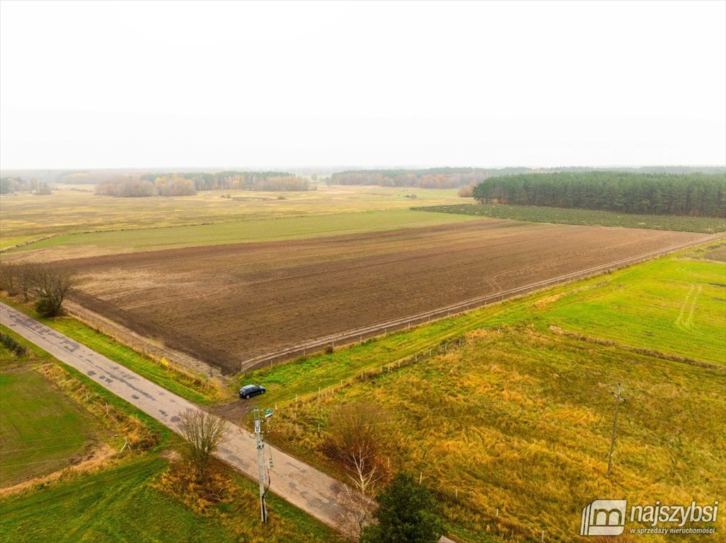 Działka budowlana na sprzedaż Węgorza, Wieś  1 498m2 Foto 8