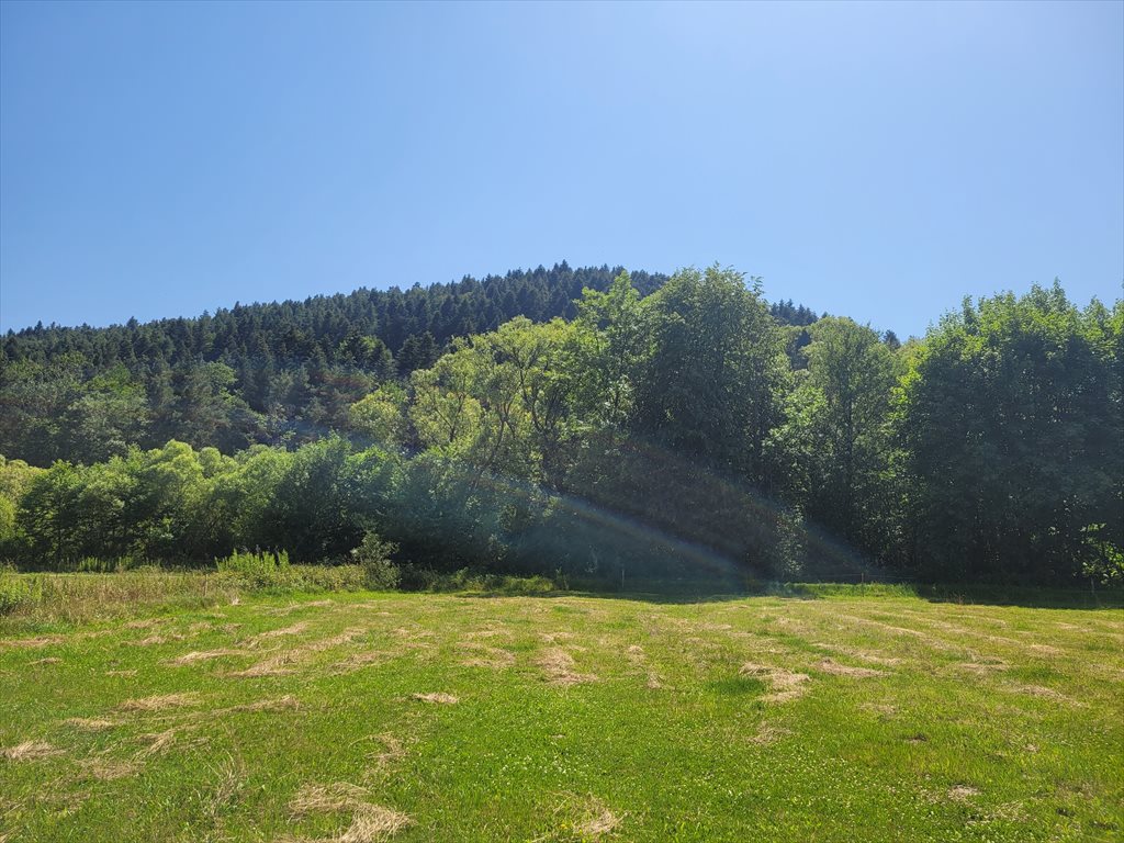 Działka budowlana na sprzedaż Florynka  1 800m2 Foto 1