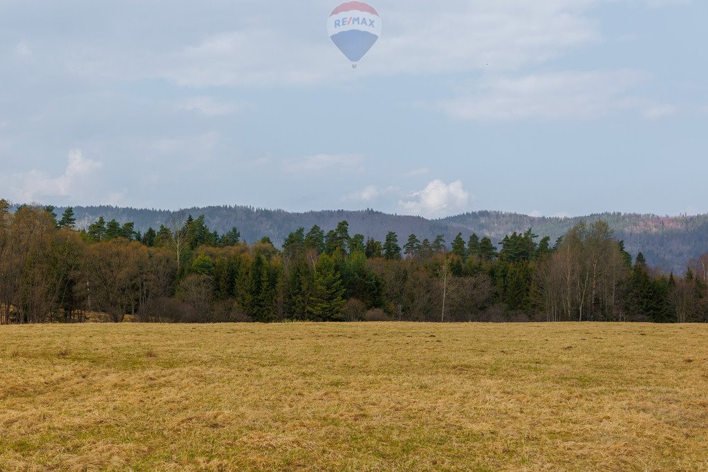 Działka rolna na sprzedaż Sopotnia Wielka  3 098m2 Foto 3