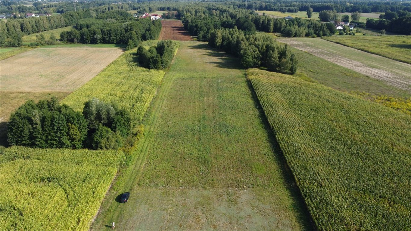 Działka rolna na sprzedaż Feliksów  5 568m2 Foto 7