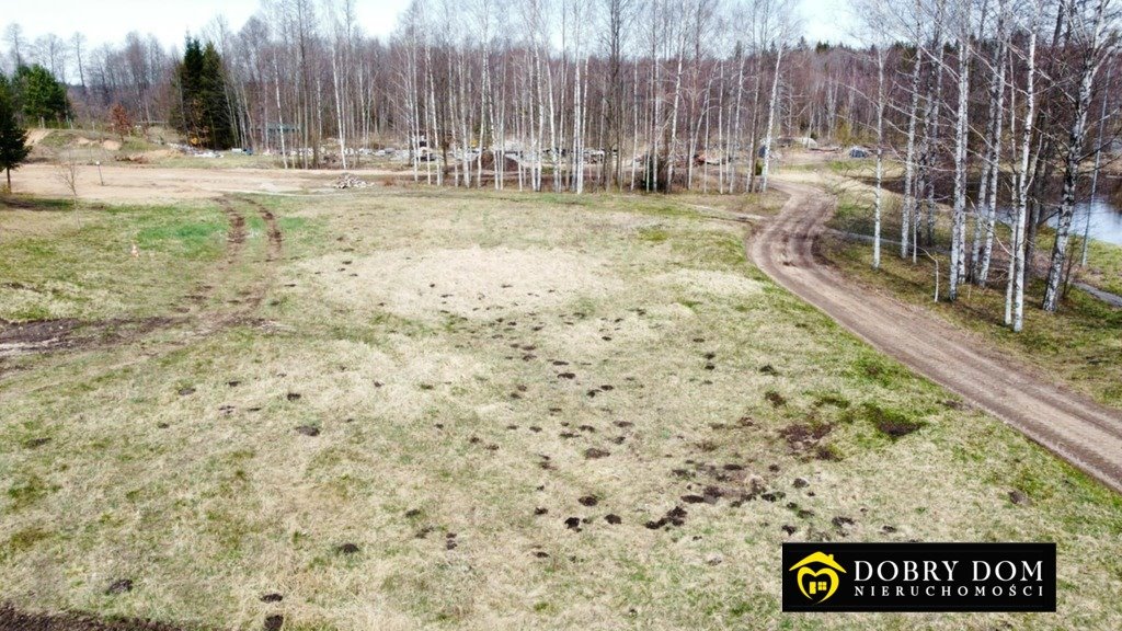 Działka budowlana na sprzedaż Krzywe  3 002m2 Foto 5