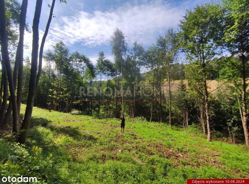 Działka budowlana na sprzedaż Konradów  1 500m2 Foto 1