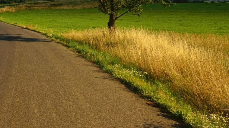 Działka rekreacyjna na sprzedaż Wólka Ratowiecka  2 600m2 Foto 2