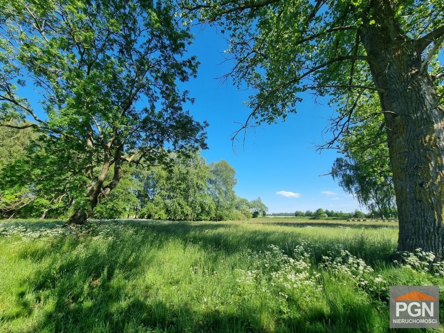 Działka z warunkami zabudowy 14 112 m2 blisko morza Strzeżewo  14 112m2 Foto 1