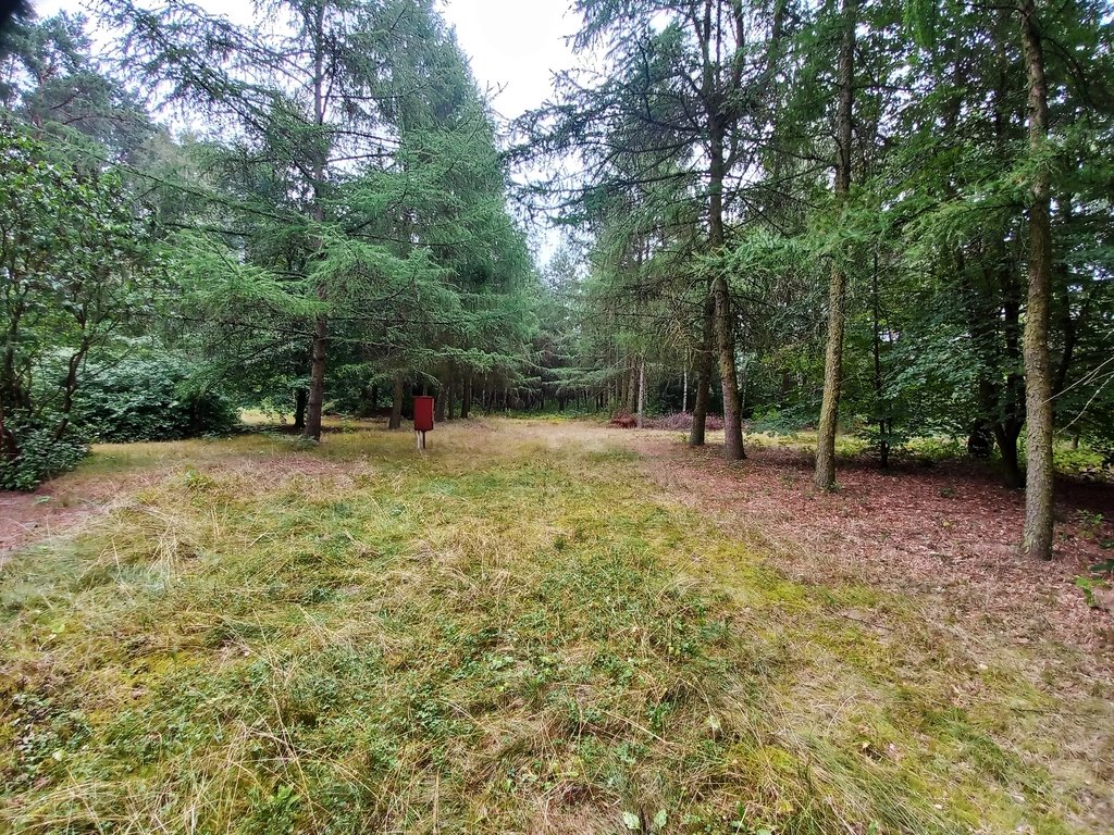 Działka budowlana na sprzedaż Helenów  1 095m2 Foto 2