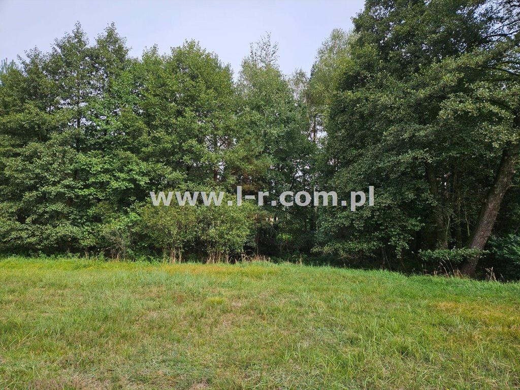 Działka leśna na sprzedaż Sumina, Dworcowa  6 820m2 Foto 2