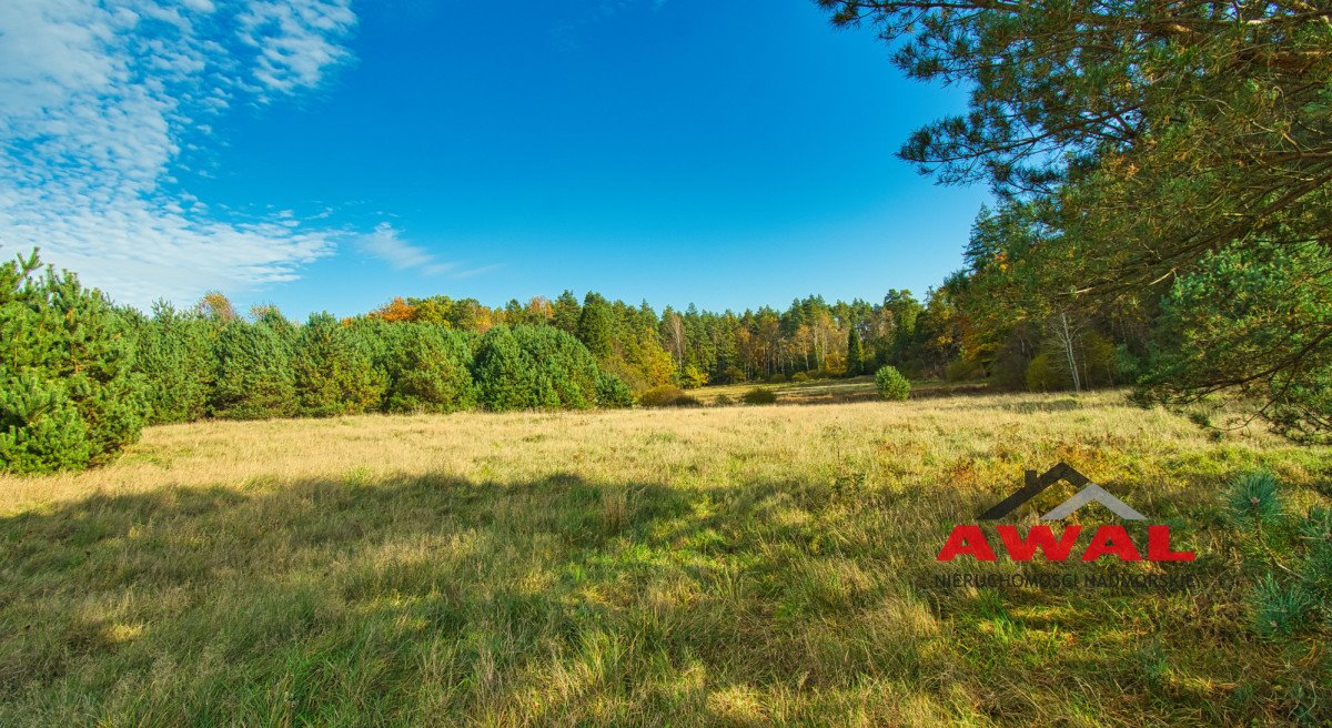 Działka budowlana na sprzedaż Leśniewo, Glinne Pole  1 001m2 Foto 13