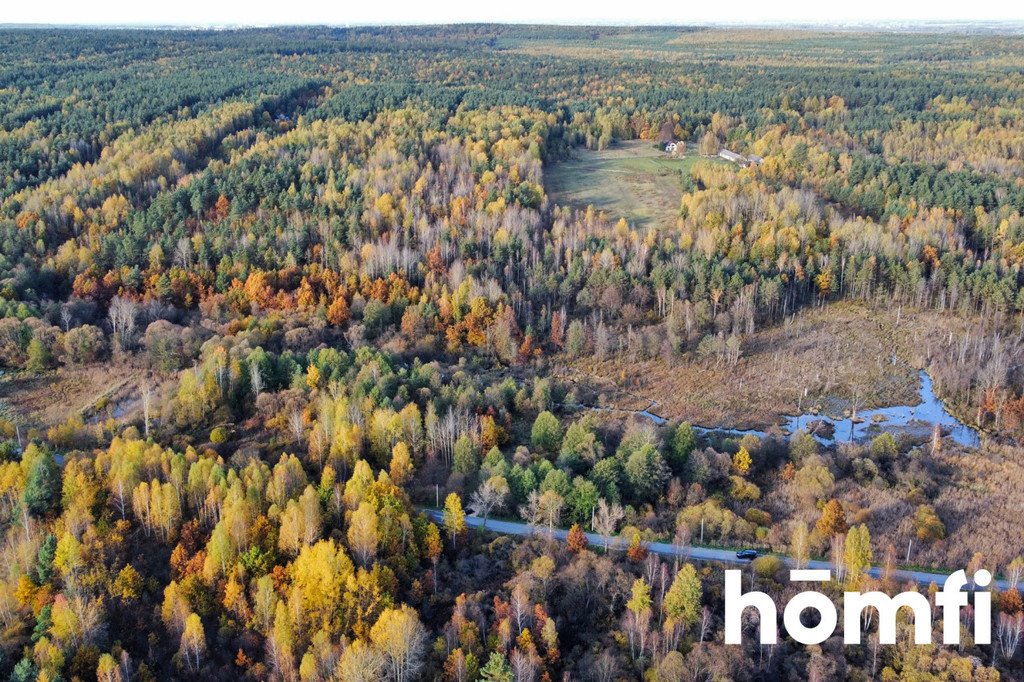 Działka inna na sprzedaż Rusinów  9 100m2 Foto 3