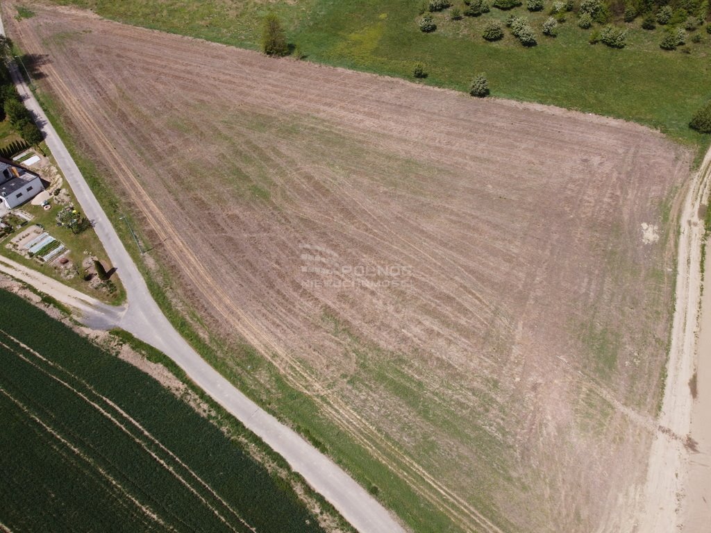 Działka budowlana na sprzedaż Żeliszów  10 500m2 Foto 4