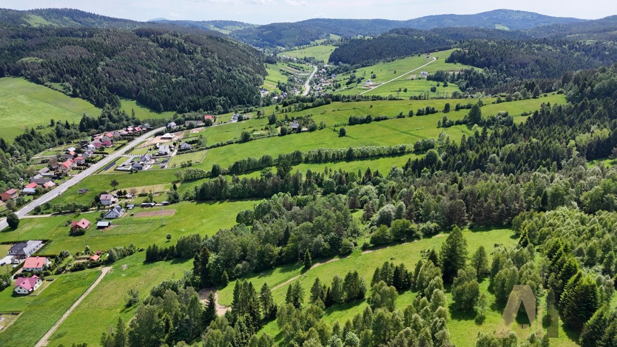 Działka rolna na sprzedaż Nowa Wieś  38 500m2 Foto 9