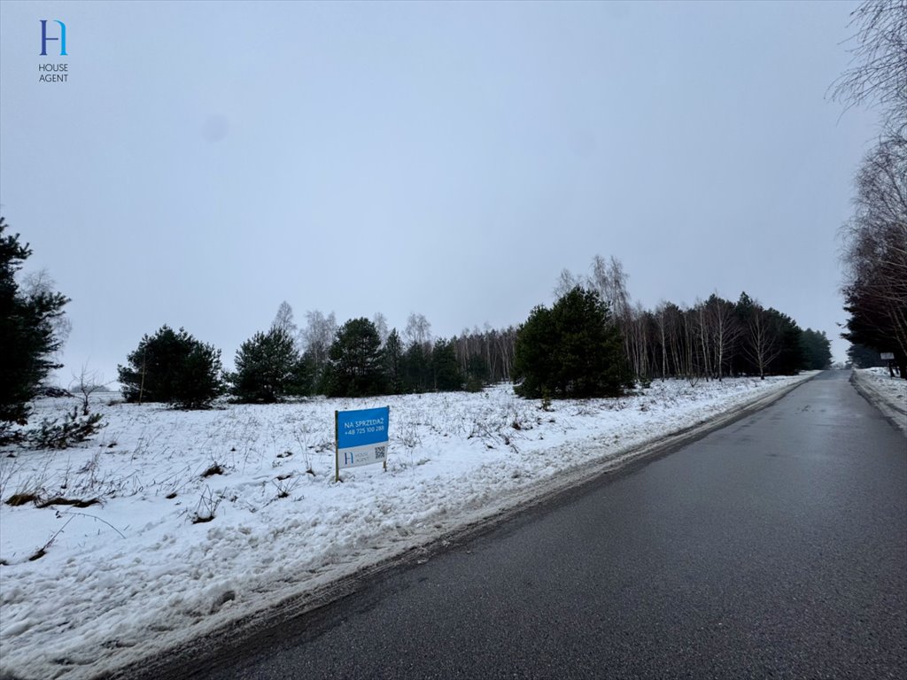 Działka leśna na sprzedaż Iwonie  27 100m2 Foto 10