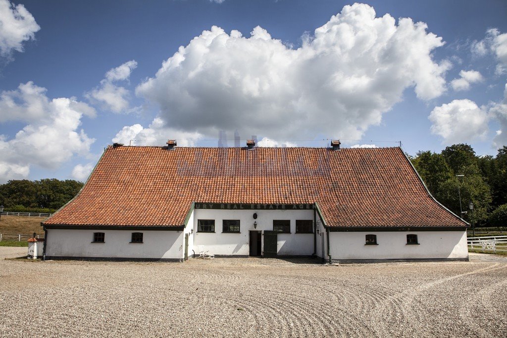 Dom na sprzedaż Kadyny  429m2 Foto 10