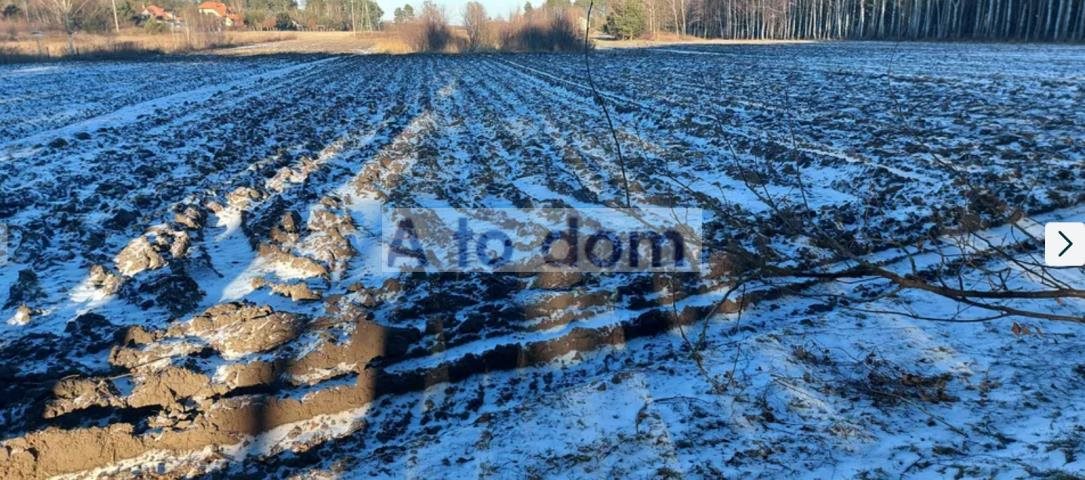 Polecam działkę 7000 m² z mediami i planem zagospodarowania Sieraków  7 000m2 Foto 1