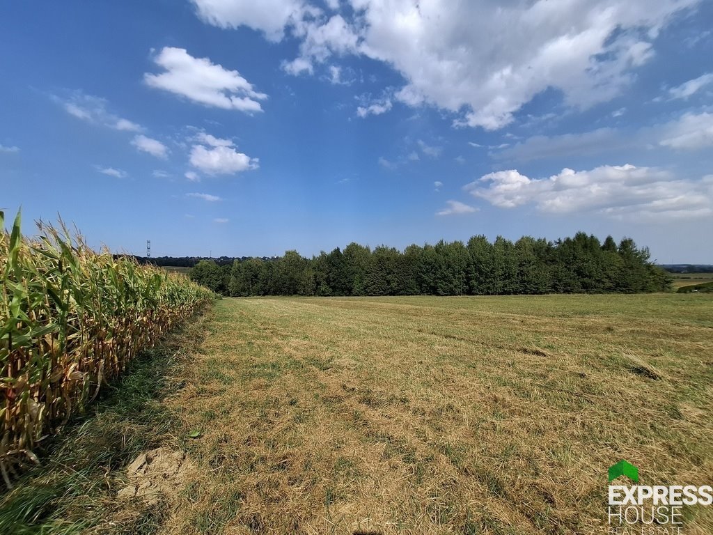 Działka budowlana na sprzedaż Rudzica  7 178m2 Foto 4