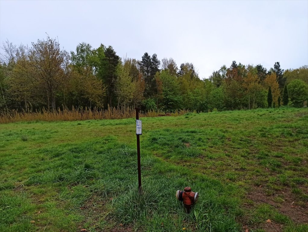 Działka przemysłowo-handlowa na sprzedaż Leśno  3 635m2 Foto 1