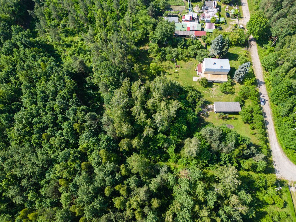 Działka budowlana na sprzedaż Ostrowiec Świętokrzyski, Las Rzeczki  2 356m2 Foto 7