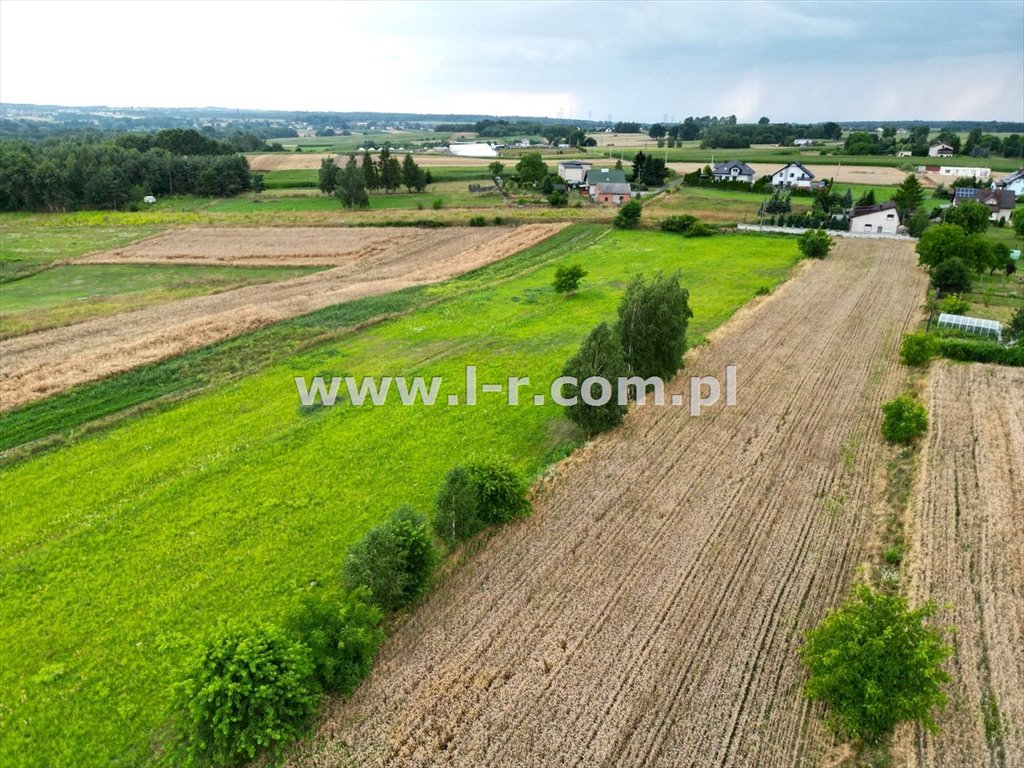 Działka budowlana na sprzedaż Lyski  6 900m2 Foto 3