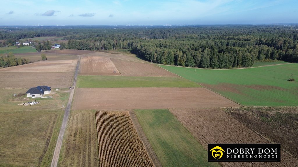 Działka budowlana na sprzedaż Niewodnica Nargilewska-Kolonia  3 000m2 Foto 4