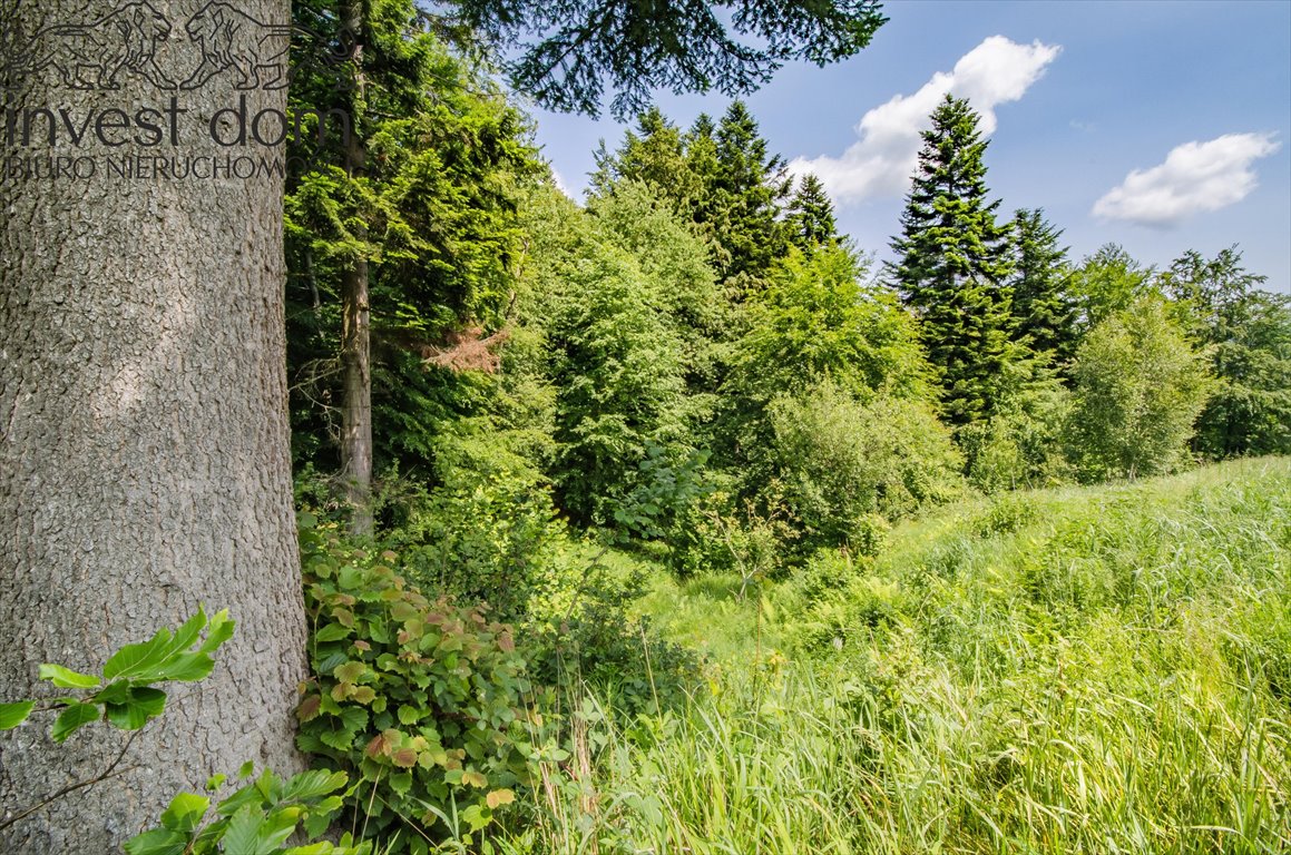 Działka budowlana z widokiem na Beskid Niski, 2 069 m² Wysowa-Zdrój  2 069m2 Foto 1