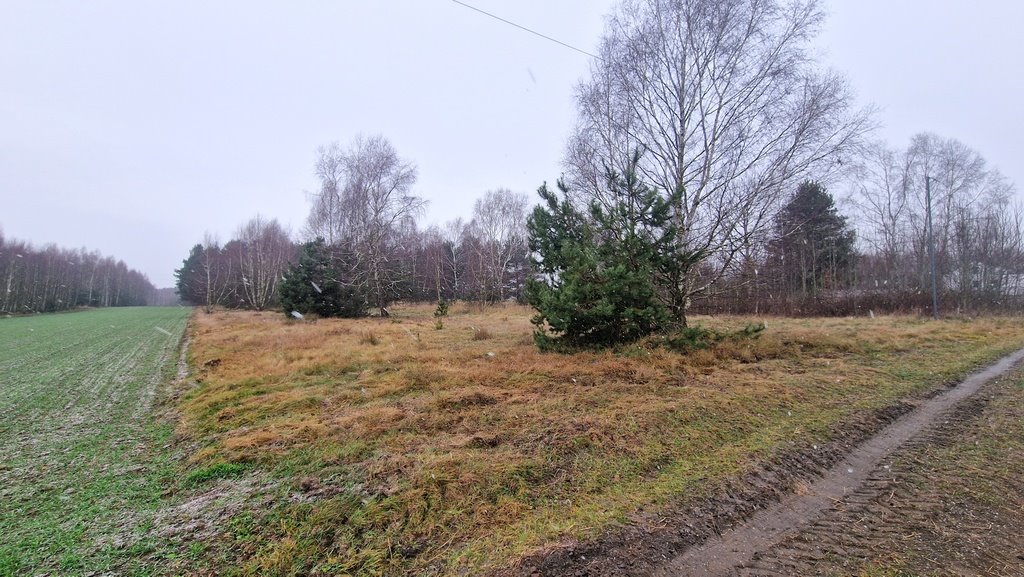 Działka budowlana na sprzedaż Smyków, Prosta  19 000m2 Foto 6