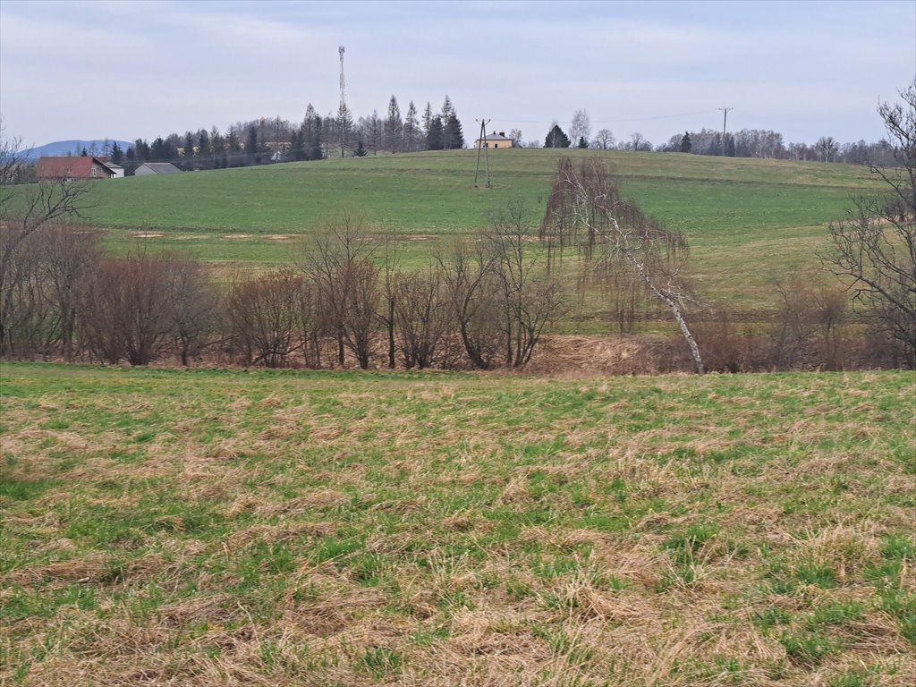 Działka rolna na sprzedaż Gorzyce  3 560m2 Foto 10