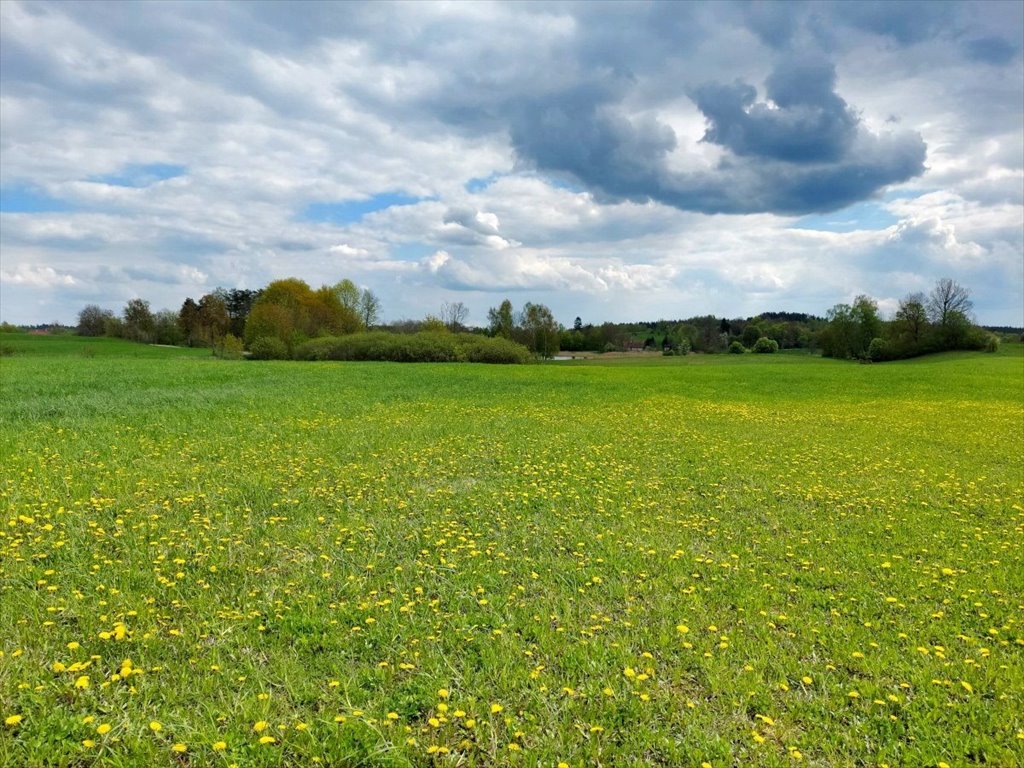 Działka rolna na sprzedaż Jeziorko, Jeziorko  3 018m2 Foto 9