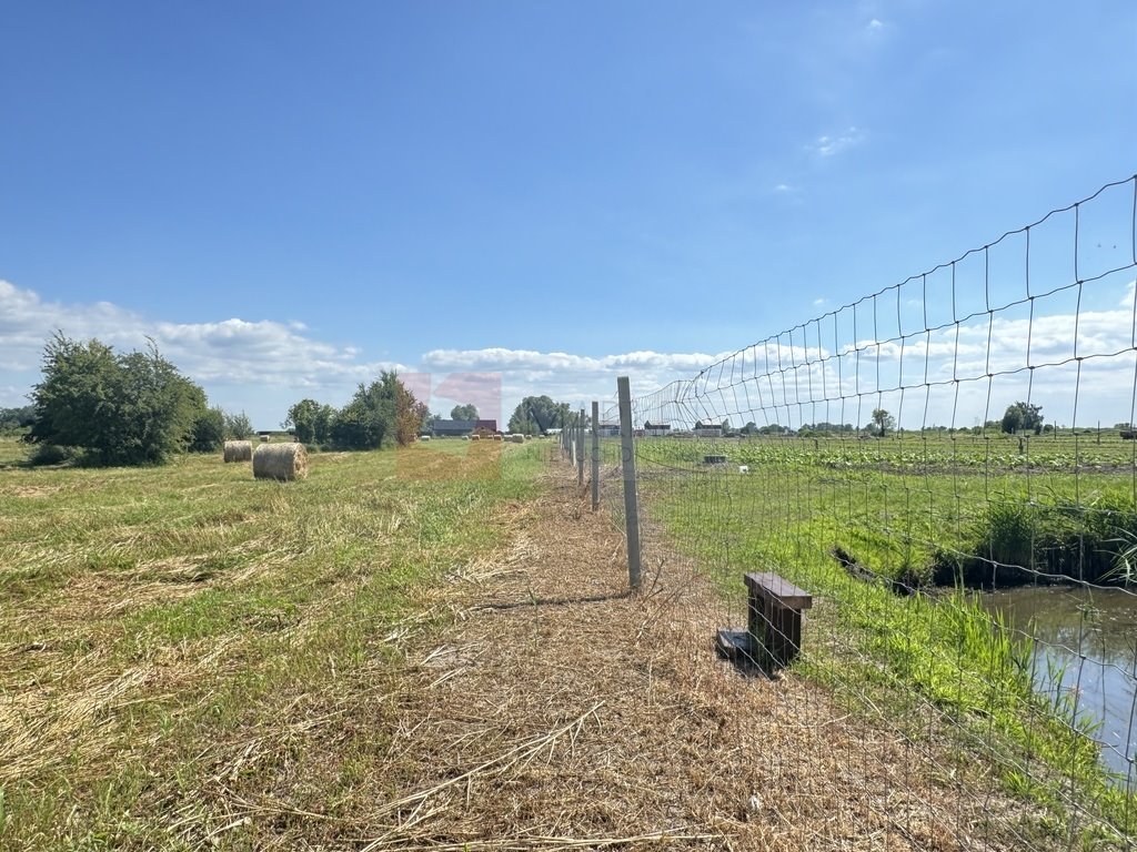 Działka budowlana na sprzedaż Lubczyna  1 000m2 Foto 5