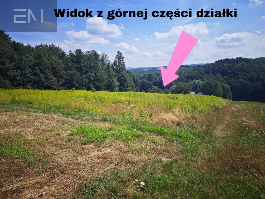 Działka rekreacyjna na sprzedaż Nowa Wieś  4 400m2 Foto 2