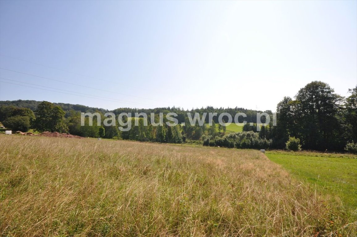 Działka budowlana na sprzedaż Głuszyca, okolice Gdańskiej  1 519m2 Foto 10