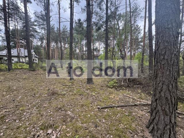 Zapraszam do zakupu działki 1262 m² z mediami w Zagościńcu Zagościniec  1 262m2 Foto 1
