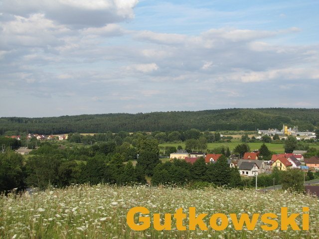 Działka rolna na sprzedaż Łąki Bratiańskie, gmina Nowe Miasto Lubawskie  3 024m2 Foto 6