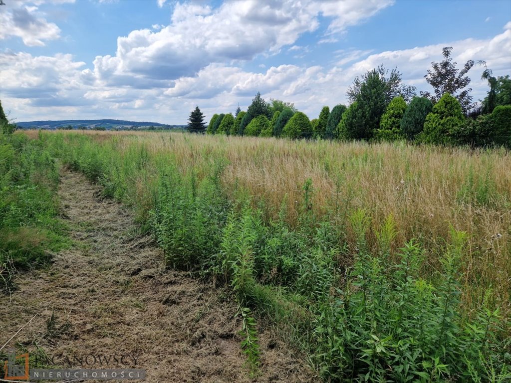 Działka budowlana na sprzedaż Wilków  1 500m2 Foto 2