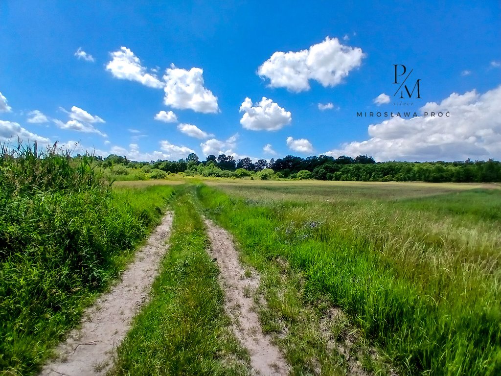 Działka budowlana na sprzedaż Iwno  22 800m2 Foto 7