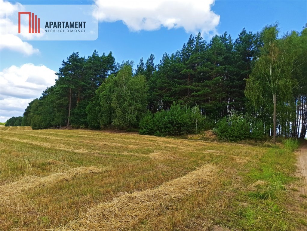 Działka budowlana na sprzedaż Miedzno  3 000m2 Foto 1