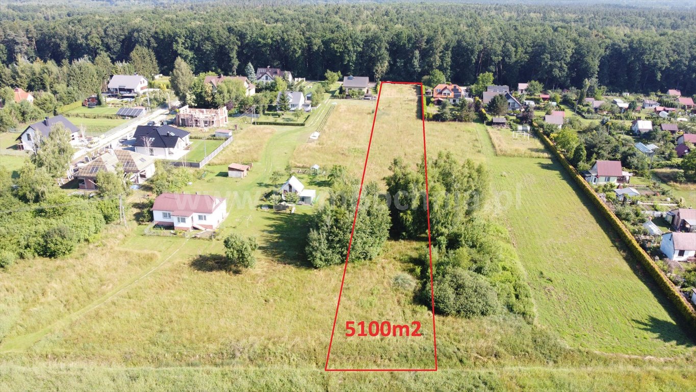 Działka 5100 m² przy lesie - media w spokojnej okolicy Jasień  5 100m2 Foto 1