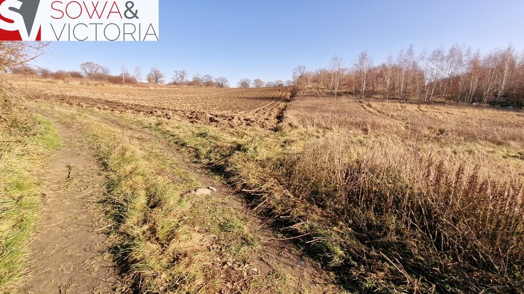 Działka inna na sprzedaż Wałbrzych, Lubiechów  3 069m2 Foto 7