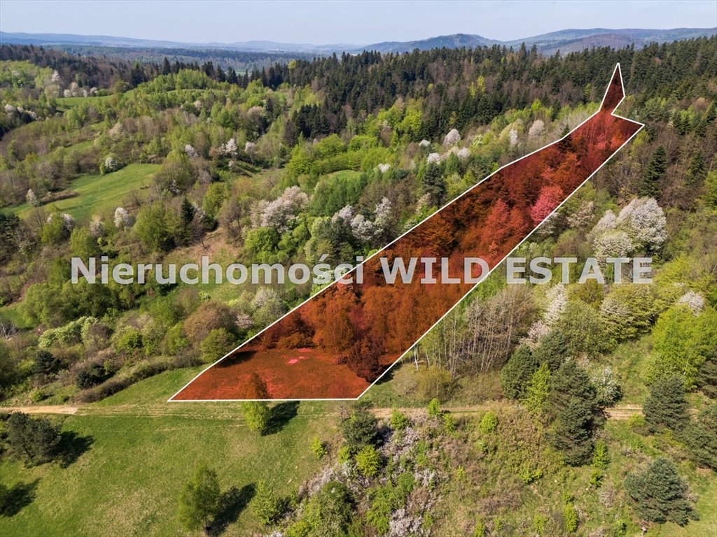 Polecam działkę 82 ar z dostępem do drogi i piękną panoramą Lesko, Bezmiechowa Dolna  8 219m2 Foto 1