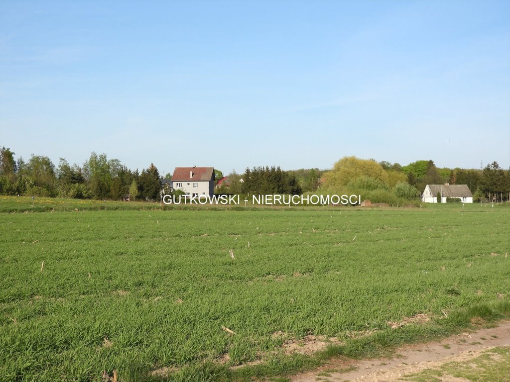 Działka siedliskowa 3076 m² z mediami, cicha okolica polecam Radomek, Szeplerzyzna  3 076m2 Foto 1