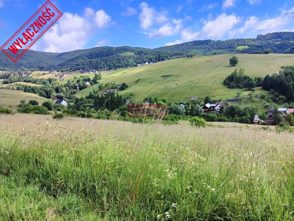 Działka inna na sprzedaż Szczawnica  4 473m2 Foto 4