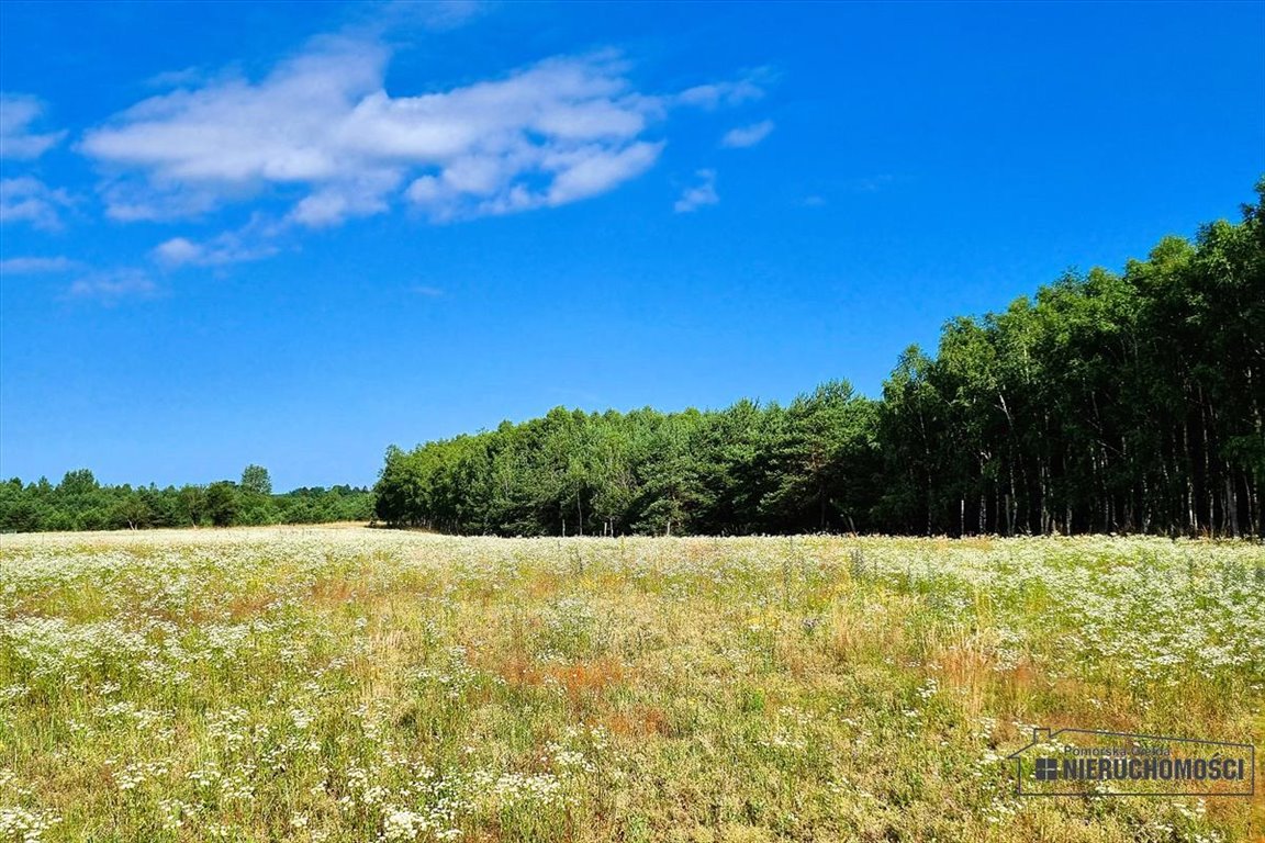 Działka budowlana na sprzedaż Dołgie  700m2 Foto 12