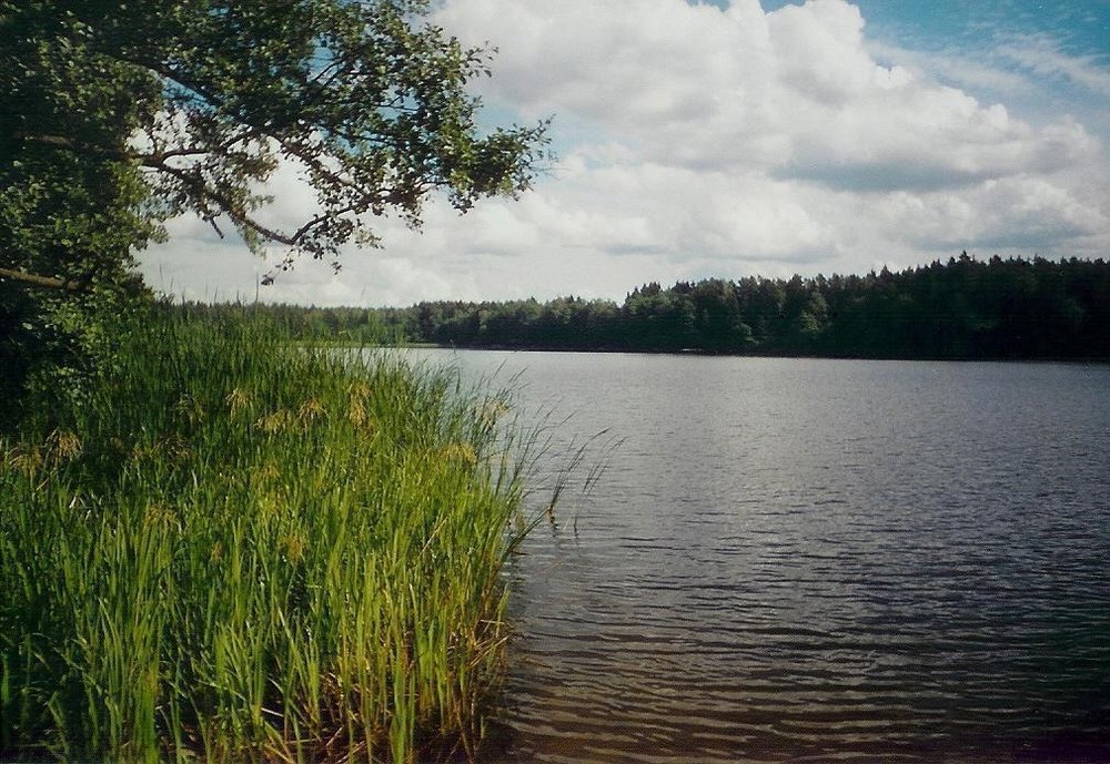 Sprzedam działkę rekreacyjną nad jeziorem z lasem i warunkami zabudowy Chłopowo  889m2 Foto 1