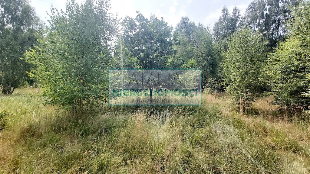 Zapraszam do zakupu działki 5,9 ha z warunkami zabudowy Korabiewice  56 000m2 Foto 1
